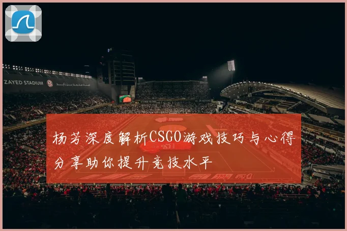 杨芳深度解析CSGO游戏技巧与心得分享助你提升竞技水平